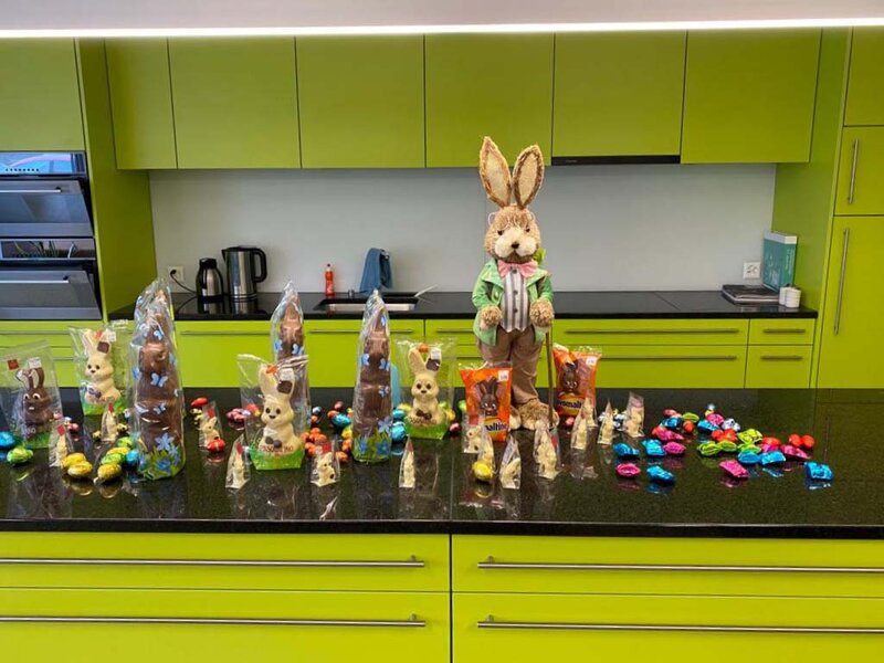 Le lapin de Pâques semble apprécier notre cantine verte !